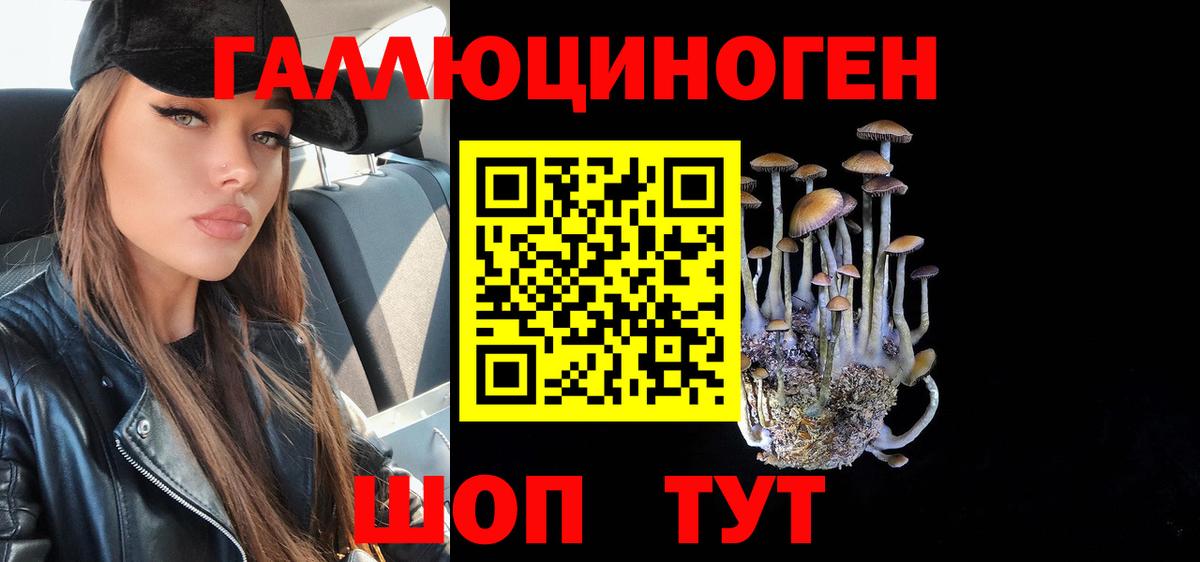 Галлюциногенные грибы MAGIC MUSHROOMS  Галлюциногенные грибы GOLDEN TEACHER  Холмск  Вход с VPN 